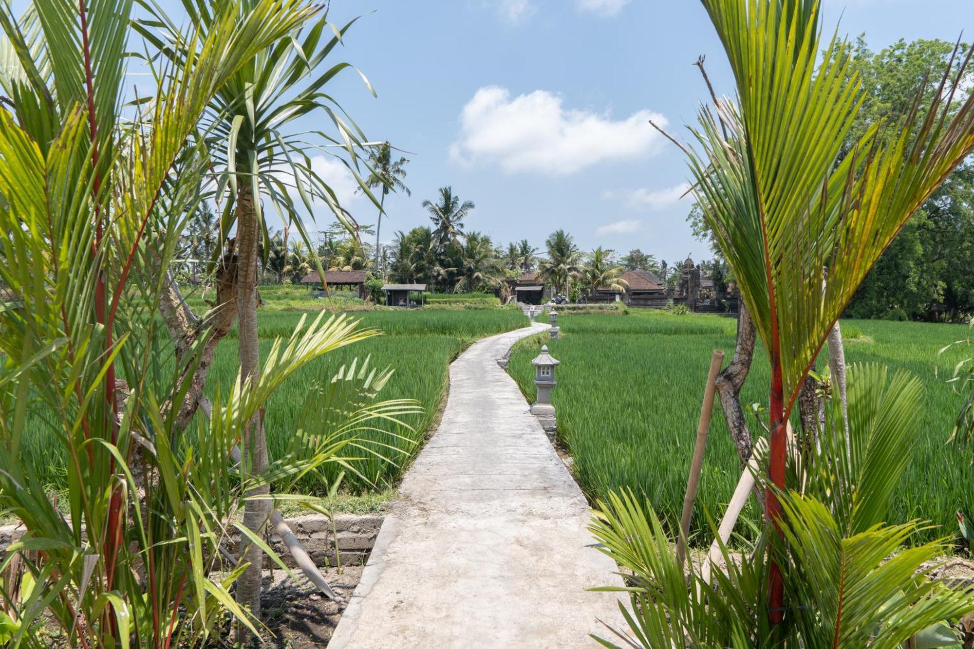 Uma Sri Dewi Villa Ubud Eksteriør bilde